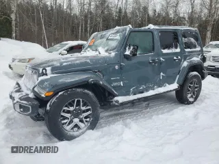2024 Jeep Wrangler Sahara with VIN 1C4PJXEN0RW122859, listed as a Copart auction lot 44733285 with Not Provided miles and Salvage Title. Bid and sale history available at carsss.com. Image 1.