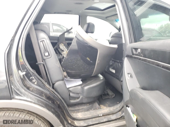 2009 Hyundai Veracruz GLS with VIN KM8NU73C29U097339, listed as a Copart auction lot 72419964 with 226,654 mi miles and Salvage Title. Bid and sale history available at carsss.com. Image 11.