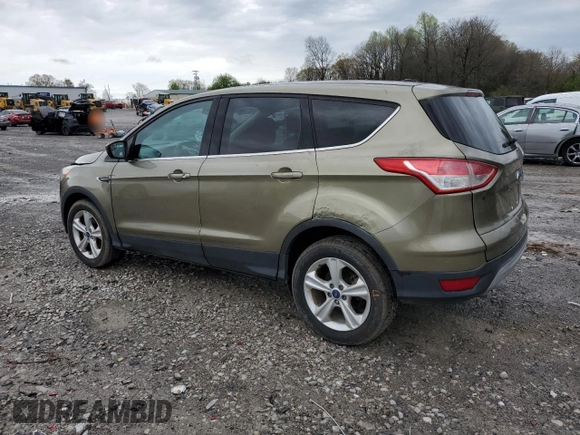 2014 Ford Escape SE with VIN 1FMCU0GX2EUA44369, listed as a Copart auction lot 51190805 with 117,975 mi miles and Salvage Title. Bid and sale history available at carsss.com. Image 2.