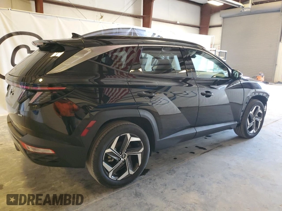 2024 Hyundai Tucson Limited with VIN 5NMJECDEXRH299555, listed as a Copart auction lot 50305005 with 48,861 mi miles and Salvage Title. Bid and sale history available at carsss.com. Image 3.
