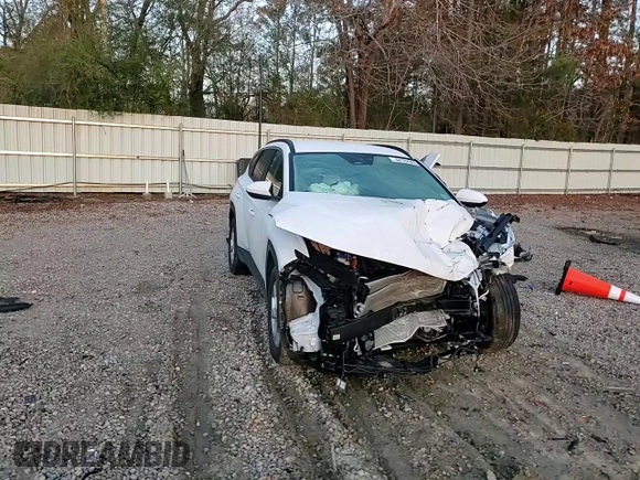 2024 Hyundai Tucson SEL with VIN 5NMJB3DE0RH366009, listed as a Copart auction lot 48182905 with 18,566 mi miles and Salvage Title. Bid and sale history available at carsss.com. Image 12.
