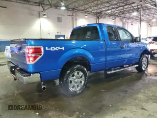 2010 Ford F-150 XL with VIN 1FTEX1E81AFC65403, listed as a Copart auction lot 46464375 with 205,244 mi miles and Clean Title. Bid and sale history available at carsss.com. Image 3.