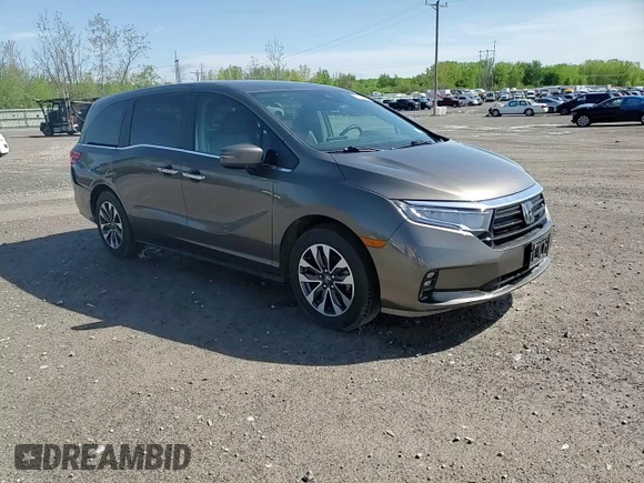 2022 Honda Odyssey EX-L z VIN 5FNRL6H71NB008541, wystawiony jako Copart lot #56850895 z przebiegiem 32 466 mil mil oraz Szkody całkowita. Historia ofert i sprzedaży dostępna na DreamBid. Obrazek 14.