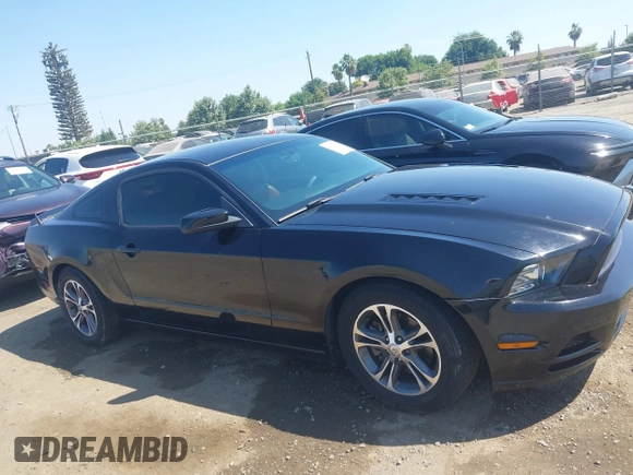 2013 Ford Mustang V6 z VIN 1ZVBP8AM2D5259728, wystawiony jako IAAI lot #42478522 z przebiegiem 179 685 mil mil oraz . Historia ofert i sprzedaży dostępna na DreamBid. Obrazek 13.