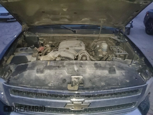 2009 Chevrolet Silverado 1500 LT with VIN 3GCEK23319G196489, listed as a Copart auction lot 87068324 with Not Provided miles and Salvage Title. Bid and sale history available at DreamBid. Image 11.