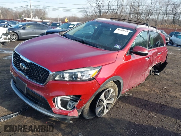 2017 Kia Sorento EX with VIN 5XYPHDA51HG313606, listed as a IAAI auction lot 41203028 with 46 mi miles and . Bid and sale history available at DreamBid. Image 18.