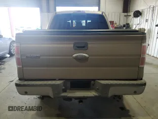 2013 Ford F-150 XL with VIN 1FTFW1ET2DKG50783, listed as a Copart auction lot 46353925 with 116,255 mi miles and Salvage Title. Bid and sale history available at carsss.com. Image 6.