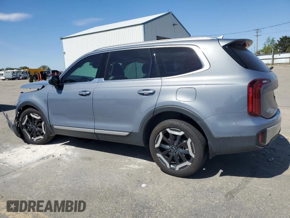 2024 Kia Telluride S with VIN 5XYP6DGC7RG491176, listed as a Copart auction lot 57329605 with 19,287 mi miles and Salvage title. Bid and sale history available at DreamBid. Image 2.