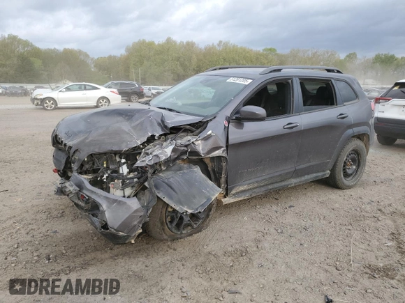 2021 Jeep Cherokee Trailhawk with VIN 1C4PJMBX7MD215581, listed as a Copart auction lot 51281205 with 62,199 mi miles and Salvage title. Bid and sale history available at DreamBid. Image 1.