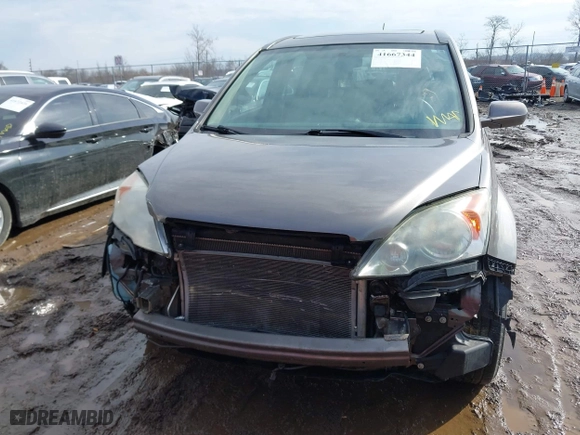 2009 Honda CR-V EX-L with VIN 5J6RE38729L018033, listed as a IAAI auction lot 41667344 with 178,482 mi miles. Bid and sale history available at carsss.com. Image 13.