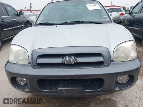 2006 Hyundai Santa Fe GLS with VIN KM8SC13D36U049405, listed as a IAAI auction lot 42074217 with 106,253 mi miles. Bid and sale history available at carsss.com. Image 6.