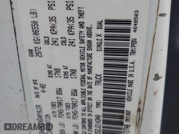 2002 Dodge 1500 z VIN 1D7HA16K52J214340, wystawiony jako Copart lot #61158705 z przebiegiem 279 568 mil mil oraz Szkoda całkowita • Salvage title. Historia ofert i sprzedaży dostępna na DreamBid. Obrazek 12.