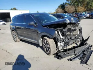 2020 Kia Telluride EX with VIN 5XYP34HC9LG059140, listed as a Copart auction lot 80304704 with 117,895 mi miles and Salvage Title. Bid and sale history available at DreamBid. Image 4.