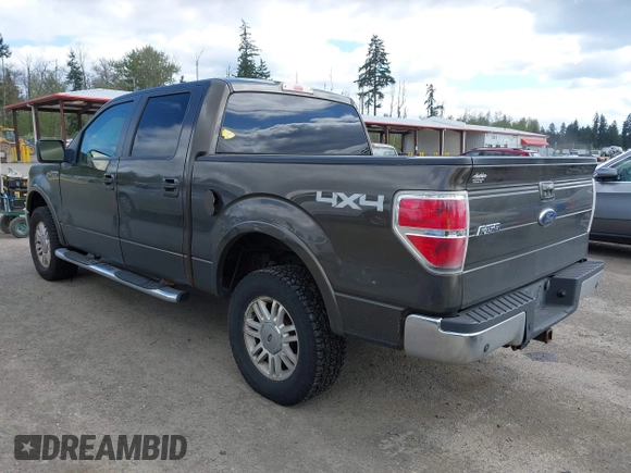 2009 Ford F-150 XL with VIN 1FTPW14V59FA09506, listed as a IAAI auction lot 42068602 with 222,954 mi miles. Bid and sale history available at carsss.com. Image 3.