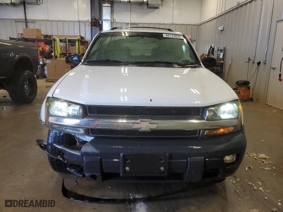 2002 Chevrolet TrailBlazer LTZ with VIN 1GNDT13S622419190, listed as a Copart auction lot 88763035 with 203,480 mi miles and Clean Title. Bid and sale history available at carsss.com. Image 5.