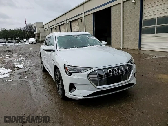 2021 Audi e-tron Premium Plus с VIN WA1LAAGE9MB003971, выставлен на аукционе Copart как лот 45421695 с пробегом 19 940 миль миль и Списание • Salvage title. История ставок и продаж доступна на DreamBid. Изображение 11.