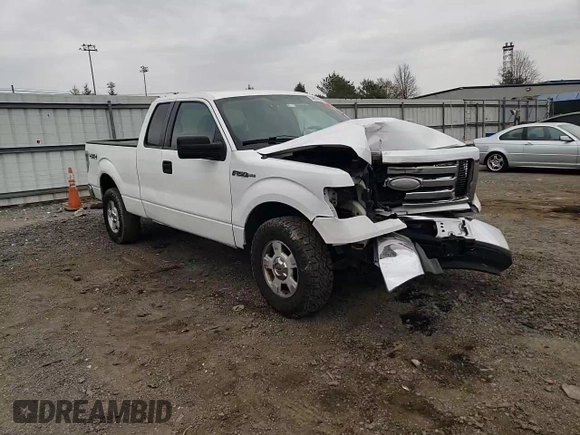 2009 Ford F-150 STX with VIN 1FTRX14889FA73202, listed as a Copart auction lot 50856285 with 184,181 mi miles and Salvage Title. Bid and sale history available at carsss.com. Image 10.