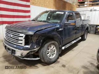 2013 Ford F-150 with VIN 1FTVW1EF4DKF10899, listed as a Copart auction lot 61501385 with 107,853 mi miles and Salvage title. Bid and sale history available at DreamBid. Image 1.