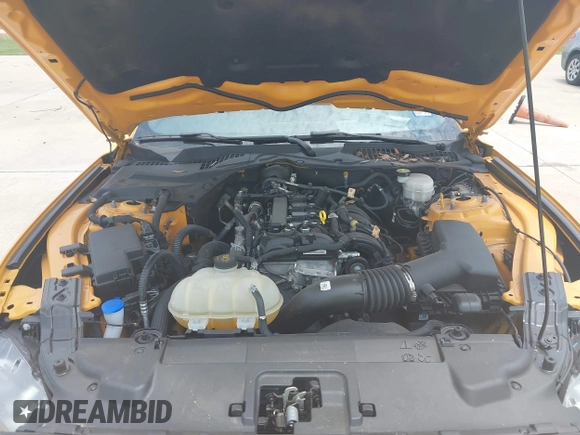 2022 Ford Mustang EcoBoost с VIN 1FA6P8TH9N5136861, выставлен на аукционе IAAI как лот 42299180 с пробегом 25 024 миль миль и . История ставок и продаж доступна на DreamBid. Изображение 10.
