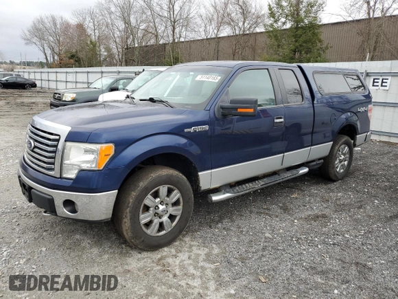 2010 Ford F-150 XL with VIN 1FTEX1E81AFB18871, listed as a Copart auction lot 51140165 with 163,462 mi miles and Clean Title. Bid and sale history available at carsss.com. Image 1.