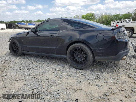 2012 Ford Mustang GT Premium with VIN 1ZVBP8CF5C5250759, listed as a Copart auction lot 51655095 with 124,351 mi miles and Salvage Title. Bid and sale history available at DreamBid. Image 2.