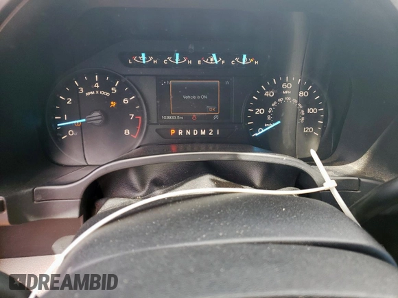 2019 Ford F-150 XL z VIN 1FTEX1CB3KKD33269, wystawiony jako Copart lot #60299975 z przebiegiem 103 933 mil mil oraz Szkoda całkowita • Salvage title. Historia ofert i sprzedaży dostępna na DreamBid. Obrazek 9.