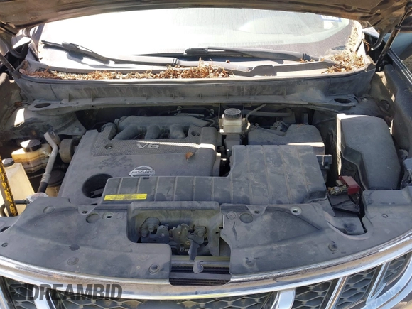 2013 Nissan Murano LE with VIN JN8AZ1MU0DW203829, listed as a IAAI auction lot 42029070 with 191,202 mi miles and . Bid and sale history available at DreamBid. Image 10.
