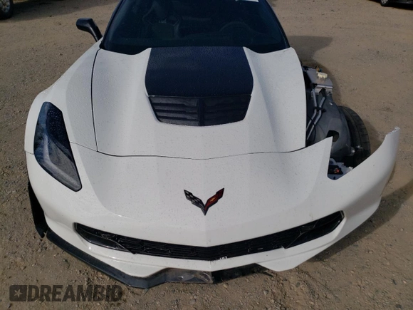2016 Chevrolet Corvette Z06 2LZ with VIN 1G1YS2D63G5600718, listed as a Copart auction lot 76075824 with 19,529 mi miles and Salvage Title. Bid and sale history available at carsss.com. Image 11.