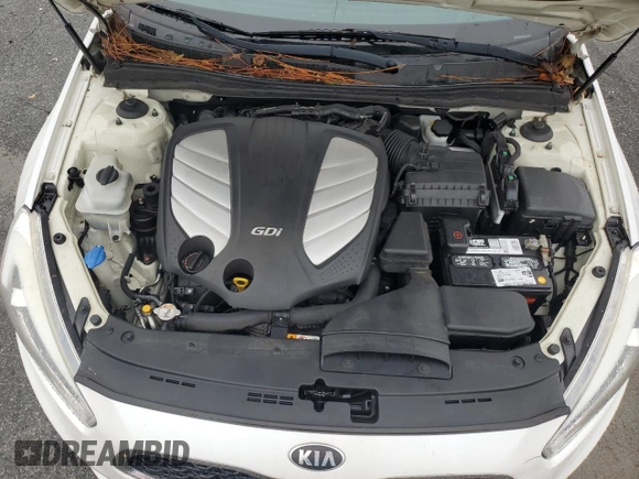 2014 Kia Cadenza Premium with VIN KNALN4D71E5160571, listed as a Copart auction lot 79524064 with 172,395 mi miles and Salvage Title. Bid and sale history available at carsss.com. Image 11.