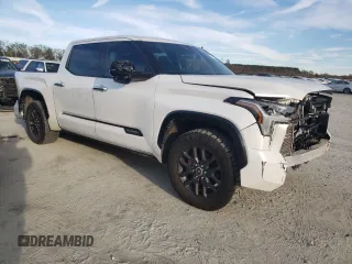 2022 Toyota Tundra Platinum with VIN 5TFNA5DB8NX014092, listed as a Copart auction lot 80914624 with 46,237 mi miles and Salvage title. Bid and sale history available at DreamBid. Image 4.