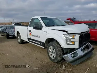 2016 Ford F-150 XL z VIN 1FTMF1C88GKF10862, wystawiony jako Copart lot #85302204 z przebiegiem 159 965 mil mil oraz Szkoda całkowita • Salvage title. Historia ofert i sprzedaży dostępna na DreamBid. Obrazek 10.