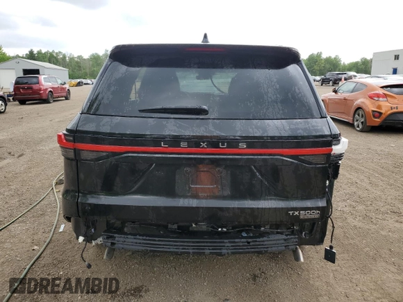 2024 Lexus TX 500h F Sport Premium with VIN 5TDABAB65RS001192, listed as a Copart auction lot 59602045 with Not provided miles and Salvage title. Bid and sale history available at DreamBid. Image 6.