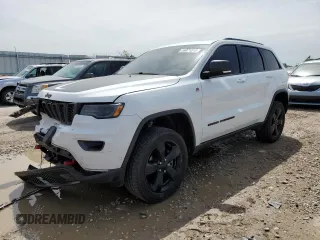 2019 Jeep Grand Cherokee Trailhawk with VIN 1C4RJFLGXKC553370, listed as a Copart auction lot 55071815 with 165,668 mi miles and Salvage title. Bid and sale history available at DreamBid. Image 1.