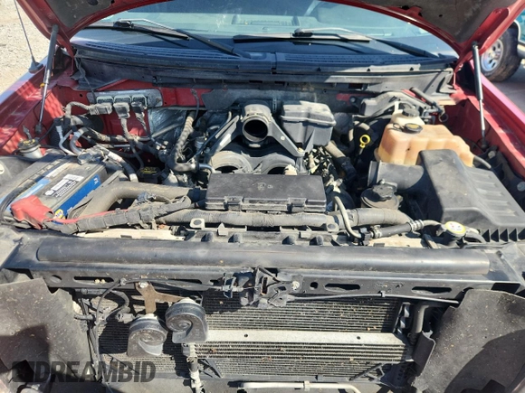 2010 Ford F-150 XL with VIN 1FTFW1EV8AFD41860, listed as a Copart auction lot 61494945 with Not provided miles and Salvage title. Bid and sale history available at DreamBid. Image 11.