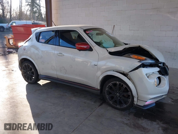 2017 Nissan Juke SL with VIN JN8AF5MV6HT750801, listed as a IAAI auction lot 41670711 with 149,473 mi miles. Bid and sale history available at carsss.com. Image 13.