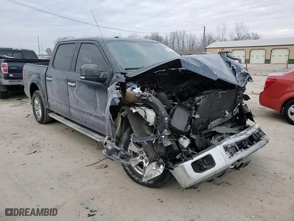 2016 Ford F-150 XLT with VIN 1FTEW1EP3GKF94064, listed as a Copart auction lot 42625835 with 109,109 mi miles and Salvage Title. Bid and sale history available at carsss.com. Image 13.