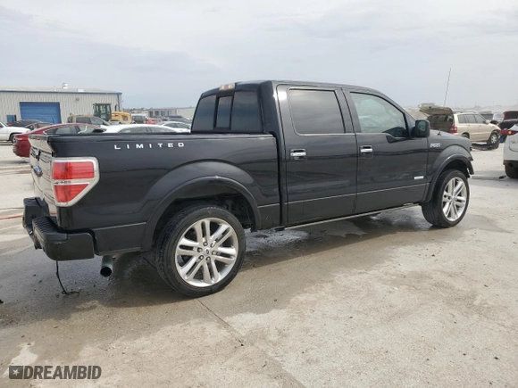 2013 Ford F-150 XL with VIN 1FTFW1CT4DFB36445, listed as a Copart auction lot 48150415 with 317,694 mi miles and Salvage Title. Bid and sale history available at carsss.com. Image 3.
