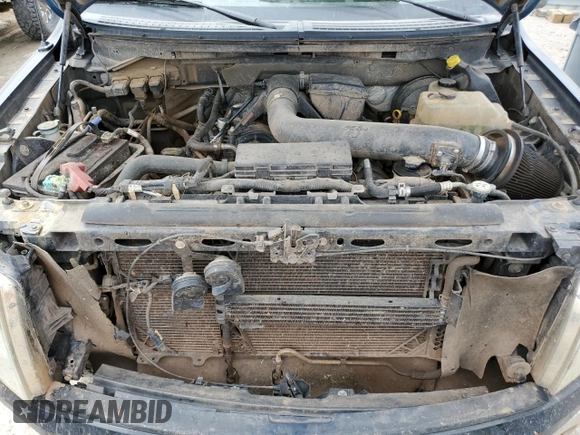 2009 Ford F-150 XL with VIN 1FTPW14V69FB18458, listed as a Copart auction lot 55684195 with 338,034 mi miles and Salvage title. Bid and sale history available at DreamBid. Image 11.