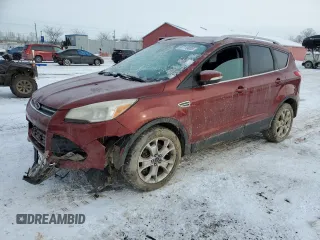 2014 Ford Escape Titanium with VIN 1FMCU9J91EUD74390, listed as a Copart auction lot 87719005 with 251,315 mi miles and Clean Title. Bid and sale history available at carsss.com. Image 1.