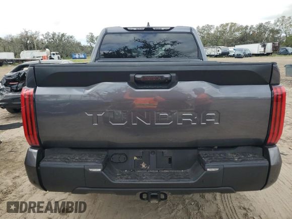 2023 Toyota Tundra 2WD SR5 with VIN 5TFLA5AB6PX019807, listed as a Copart auction lot 79765774 with 14,796 mi miles and Non Repairable. Bid and sale history available at carsss.com. Image 6.