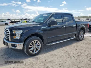2016 Ford F-150 XL with VIN 1FTEW1CF5GKD21833, listed as a Copart auction lot 61985625 with 178,559 mi miles and Salvage title. Bid and sale history available at DreamBid. Image 1.