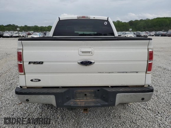 2009 Ford F-150 XL with VIN 1FTPW14VX9KC62991, listed as a Copart auction lot 53852875 with Not Provided miles and Salvage Title. Bid and sale history available at DreamBid. Image 6.