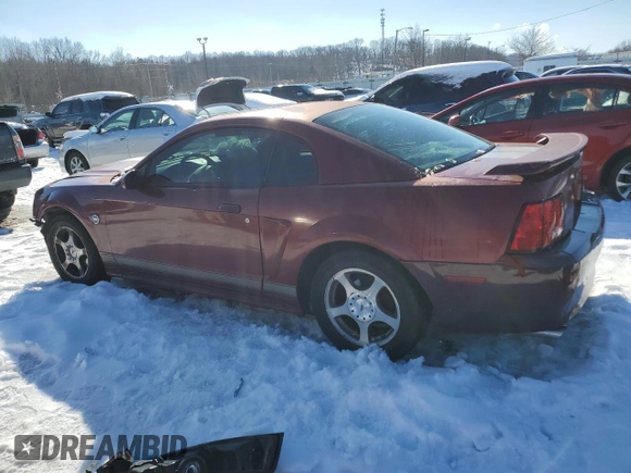 2004 Ford Mustang Standard with VIN 1FAFP40434F117726, listed as a Copart auction lot 41556265 with 136,420 mi miles and Non Repairable. Bid and sale history available at carsss.com. Image 2.