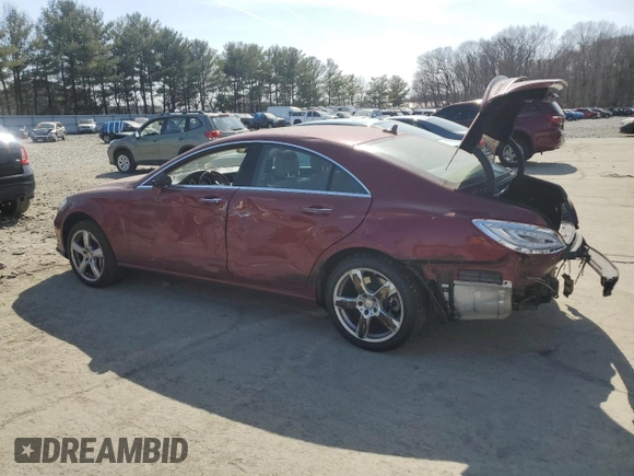 2013 Mercedes-Benz CLS-Class CLS 550 with VIN WDDLJ9BB4DA058339, listed as a Copart auction lot 49377265 with 99,183 mi miles and Salvage Title. Bid and sale history available at carsss.com. Image 2.