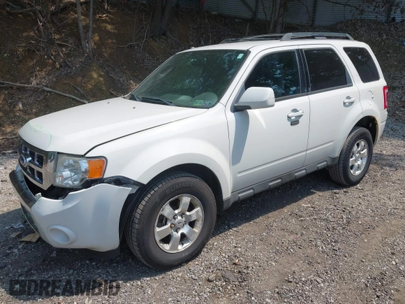 2010 Ford Escape Limited with VIN 1FMCU9EG8AKC42841, listed as a IAAI auction lot 42492355 with 159,939 mi miles and . Bid and sale history available at DreamBid. Image 2.
