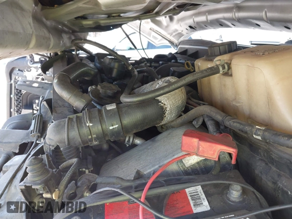 2013 Ford F-250 XL with VIN 1FT7W2BT4DEA86261, listed as a IAAI auction lot 42534072 with Not provided miles and . Bid and sale history available at DreamBid. Image 10.