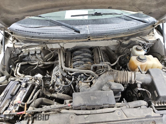2013 Ford F-150 XL with VIN 1FTFW1EF9DKF66261, listed as a Copart auction lot 49215605 with 114,061 mi miles and Clean Title. Bid and sale history available at carsss.com. Image 12.