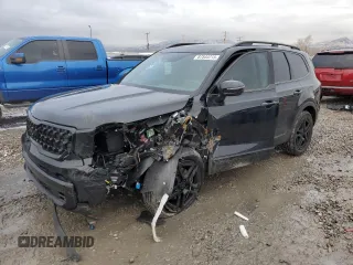 2025 Kia Telluride SX X-Line with VIN 5XYP5DGC2SG579688, listed as a Copart auction lot 87544715 with Not provided miles and Salvage title. Bid and sale history available at DreamBid. Image 1.