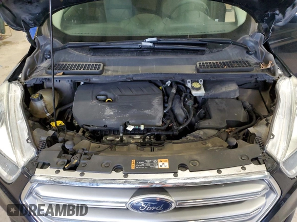 2017 Ford Escape SE with VIN 1FMCU9GD2HUD96737, listed as a Copart auction lot 53681115 with 166,521 mi miles and Clean Title. Bid and sale history available at carsss.com. Image 12.
