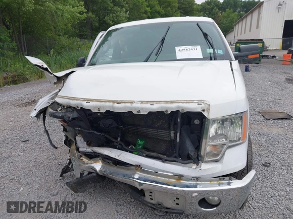 2014 Ford F-150 XL with VIN 1FTFW1EF3EFC43480, listed as a IAAI auction lot 42582431 with 134,382 mi miles and . Bid and sale history available at DreamBid. Image 6.